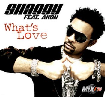 Shaggy Feat Akon - Whats Love